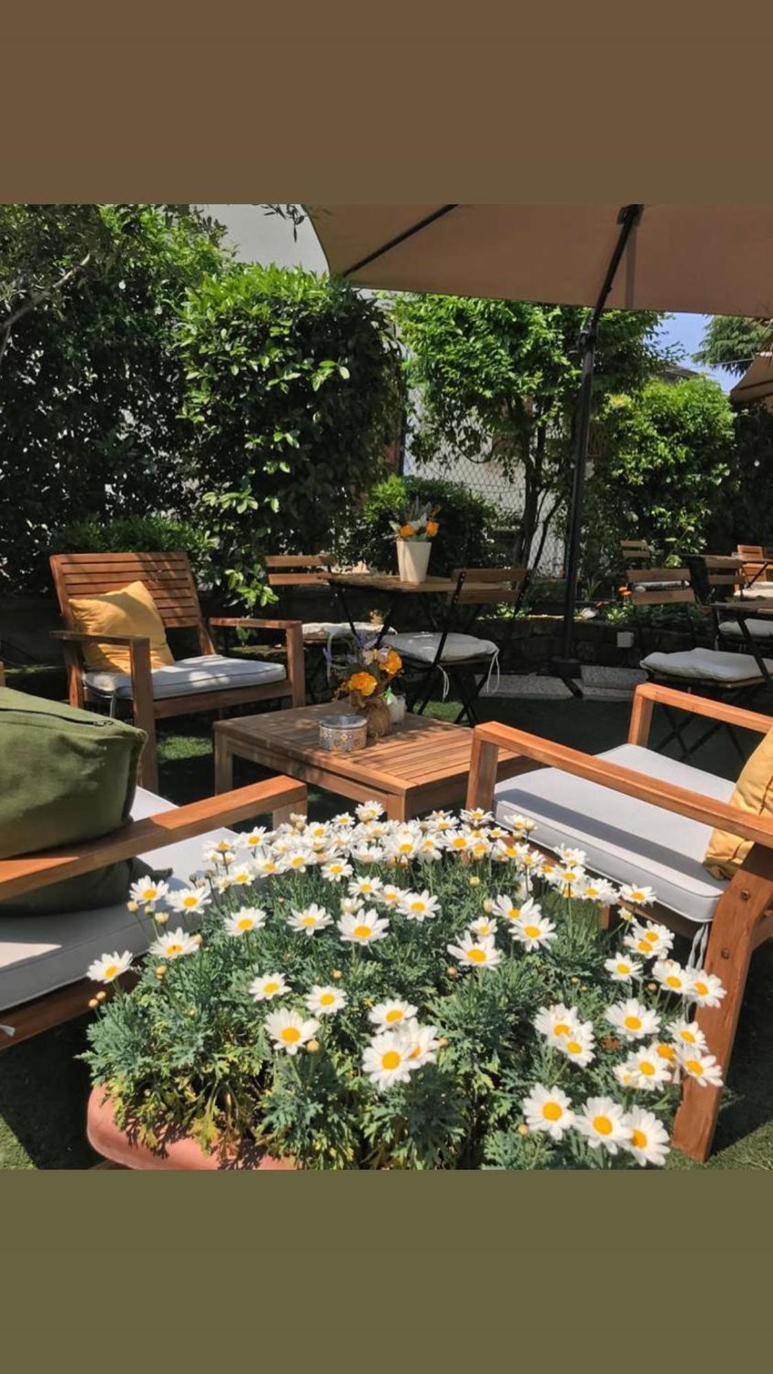 B&B Magnolia Verona Ngoại thất bức ảnh